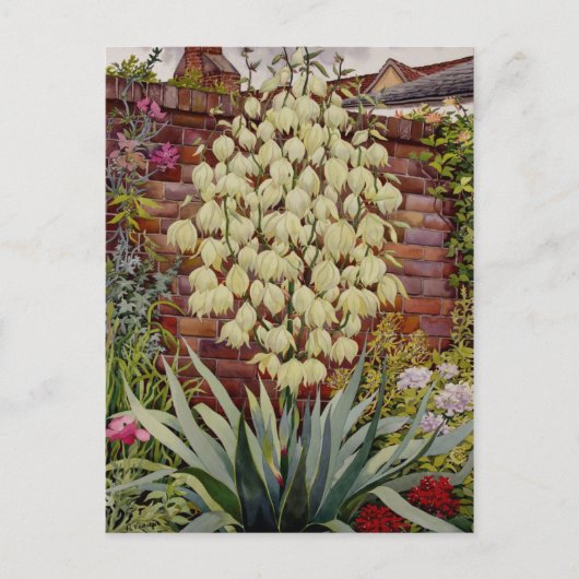Bloemende Yucca Briefkaart (Voorkant)