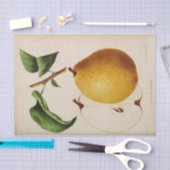 Bloemenephemera decoupage gele peer tissuepapier (Craft)