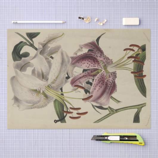 Bloemenephemera Decoupage Paarse Lelie Tissuepapier (Craft)