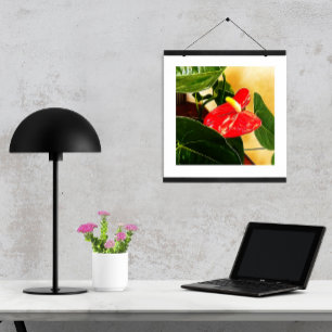 Bloemenfotografie van enkele rode Anthuriumbloesem Poster