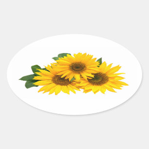 Bloemengele zonnebloem Stickers