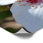 Bloemengeur Canvasprint Poster (Hoek)