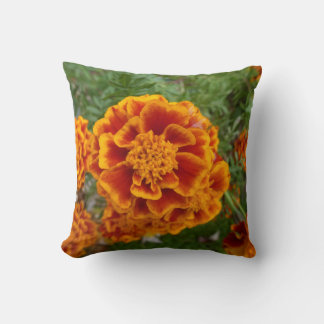 Bloemenkussen met afbeelding van goudsbloem kussen