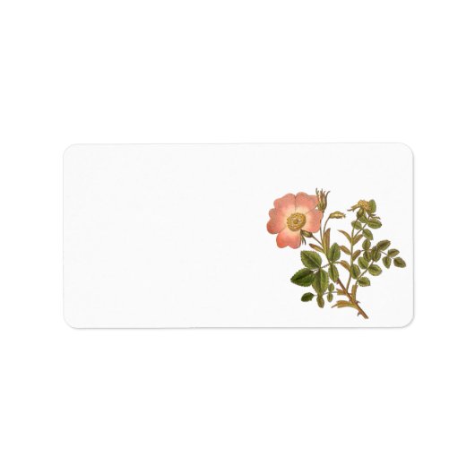 bloemenlabel - roze Roos Etiket (Voorkant)