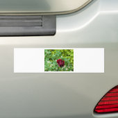 bloemenland in het voorjaar bumpersticker (Op auto)