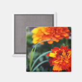 bloemenmagnant magneet (Voorkant / Achterkant)