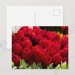 Bloemenmarkt Bloemen Briefkaart