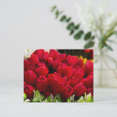 Bloemenmarkt Bloemen Briefkaart (Staand voorkant)