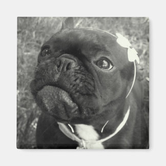 Bloemenmeisje Magnet Magneet