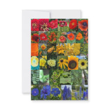 Bloemenregenboog 
