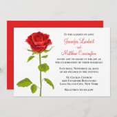 Bloemenrood roos bruiloft romantische elegante blo kaart (Voorkant / Achterkant)