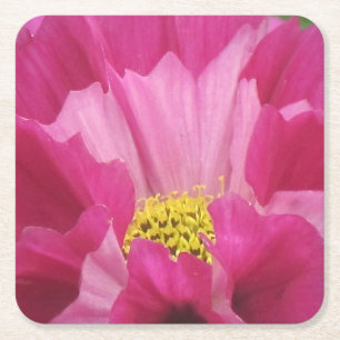 Bloemenschotel met tinten roze vierkante kartonnen onderzetter
