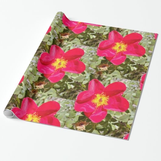 bloemenstoot cadeaupapier (Uitgerold)