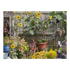 Bloementuin en smalle boot perfect poster