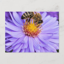 Bloementuin Park Vrede Liefde Briefkaart