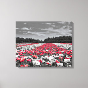Bloemenveld minimalistische selectieve kleurenfoto canvas afdruk