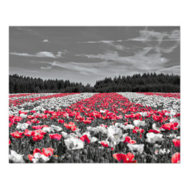 Bloemenveld minimalistische selectieve kleurenfoto foto afdruk