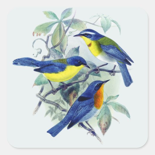  Bloemenzangvogels Kleding en geschenken Vierkante Sticker (Voorkant)