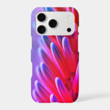 Bloemfilter