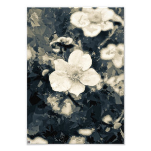 Bloemige Anemoon Botanische Kunst Foto Afdruk
