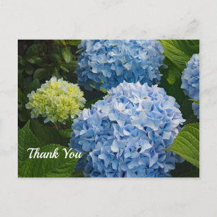 Bloemige Blauwe Hortensia Foto Bedankt Briefkaart
