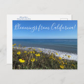 Bloemingen uit Californië! Briefkaart (Voorkant / Achterkant)