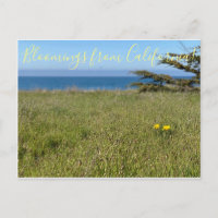 Bloemingen uit Californië! - California Poppy