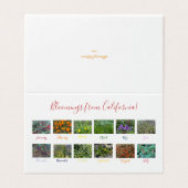 Bloemingen uit Californië! Kaart (Buitenkant ongevouwen)