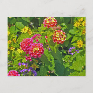 Bloemkaart Briefkaart