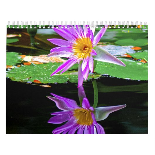 Bloemkalander Kalender (Hoes)