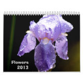 Bloemkalender 2013 kalender (Hoes)