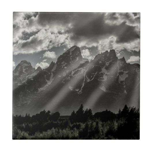 Bloemkathedgroep Tegeltje (Voorkant)