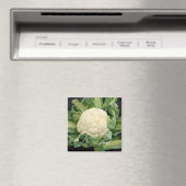 Bloemkool magneet (Insitu (Vaatwasser))