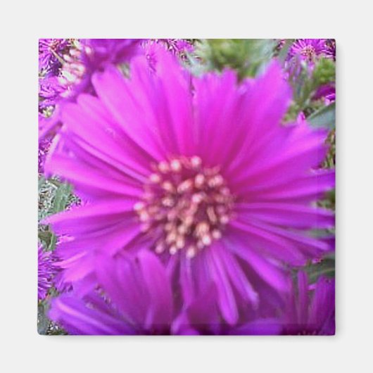 Bloemmagneet Magneet (Voorkant)