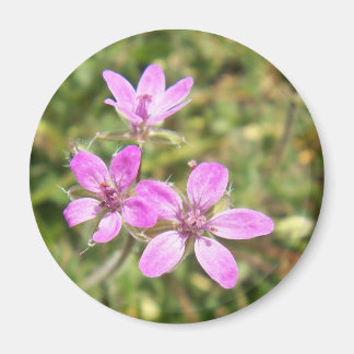 Bloemmagneet Magneet