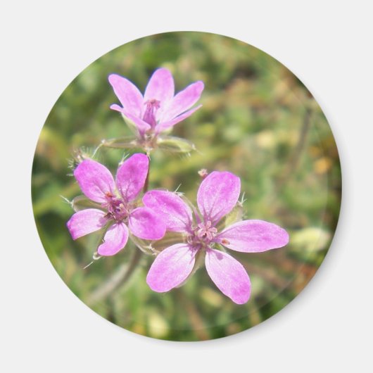 Bloemmagneet Magneet (Voorkant)