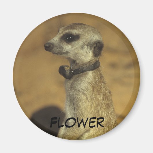 Bloemmagneet Magneet (Voorkant)