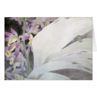 Bloemmelders II- faiussen