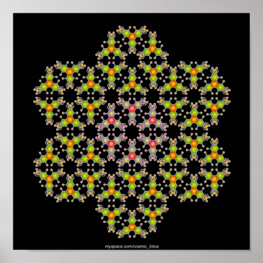 Bloemmolecule Poster (Voorkant)