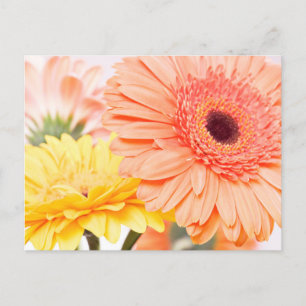 Bloemperzik Sinaasappel en geel gerbera madeliefje Briefkaart