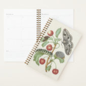 bloemplanner met mot en rups planner (Display)