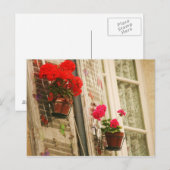 bloempotten briefkaart (Voorkant / Achterkant)