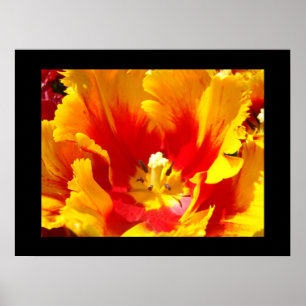 Bloemrijke Natuur Fijne Kunst Prints Gele Rode Tul