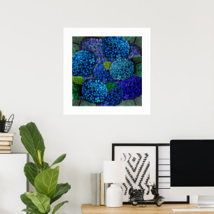 Bloemschikking Blauwe Hortensia Bloem Poster