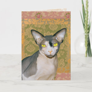  Bloemschors Sphynx Cat Verjaardag Kaart