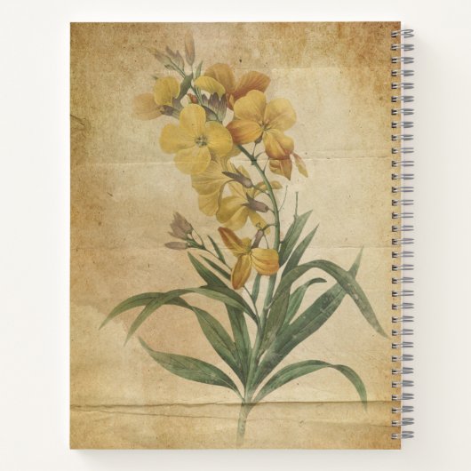 Bloemschraper Tijdschrift Style Sketchbook Notitieboek (Achterkant)