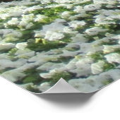 Bloemtapijt Poster (Hoek)