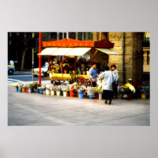 Bloemverkoper, Santiago, Chili Poster