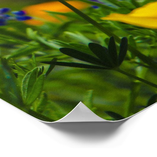 bloemvermogen poster (Hoek)