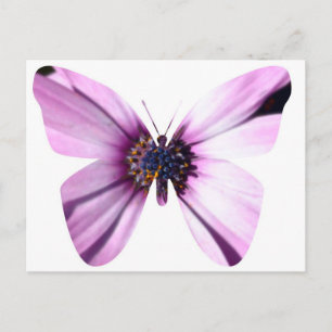 Bloemvlinder Briefkaart